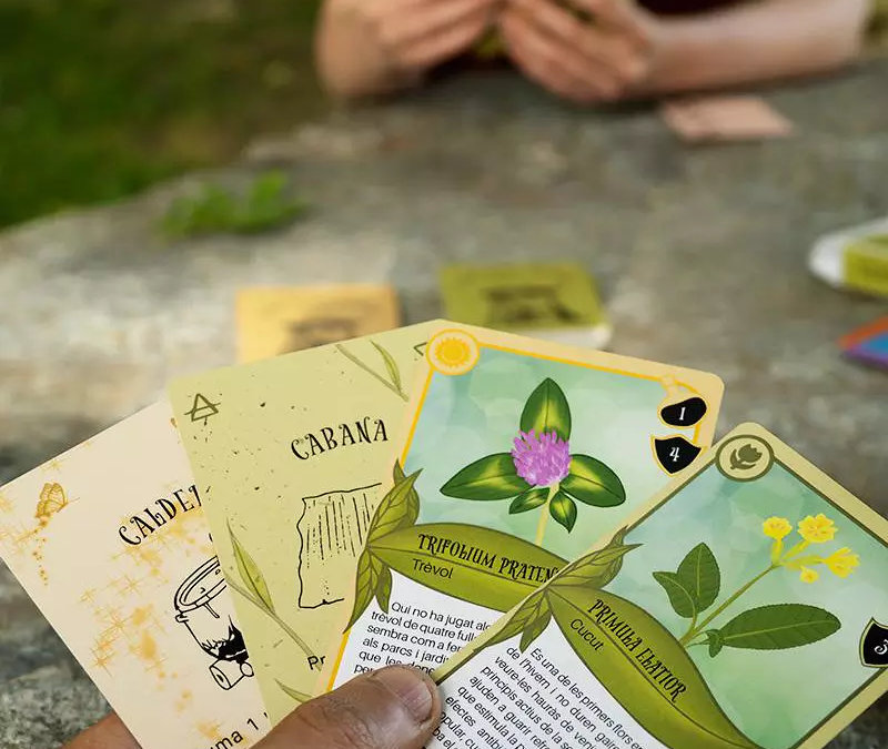 Camin dera Bruisha – Proyecto de cartas